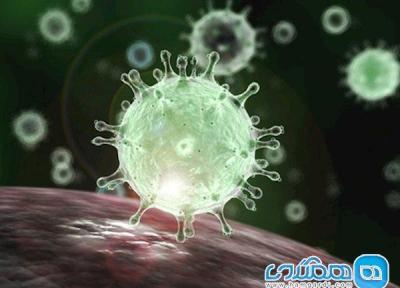 بدن در مقابل ویروس کرونا چه واکنشی نشان می دهد؟