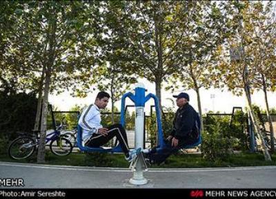 افزایش طول عمر با زندگی در کنار درختان
