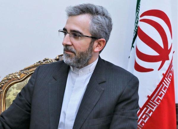 باقری: فرصت ربایی از ویژگی های دیپلماسی ایران است